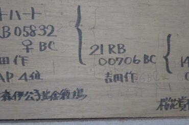 2025年8月26日撮影　竹森伊公子鳩舎　●2025年令和7年度　日本鳩レ－ス協会8月号　会長賞　●北陸　桜花賞