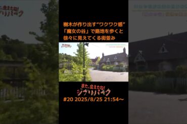 樹木が作り出す“ワクワク感”…「魔女の谷」で路地を歩くと徐々に見えてくる街並み「また、会えたね！ジブリパーク」#20