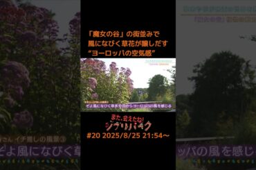 「魔女の谷」の街並みで風になびく草花が醸しだす“ヨーロッパの空気感”「また、会えたね！ジブリパーク」#20