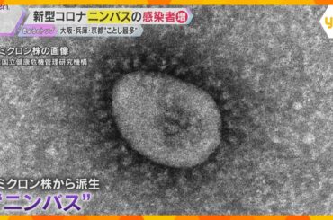 オミクロン株から派生した『ニンバス』 新型コロナの感染者が今年最多に　検査受けずに帰宅する人も