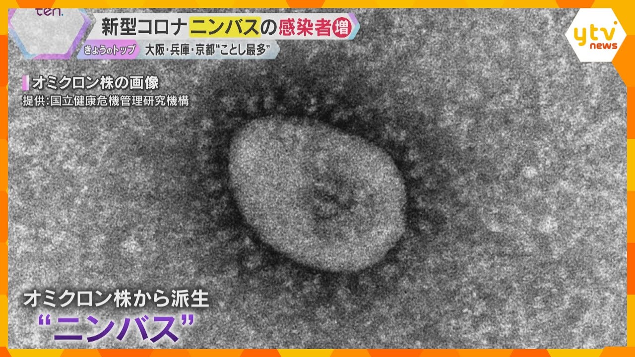 オミクロン株から派生した『ニンバス』 新型コロナの感染者が今年最多に 検査受けずに帰宅する人も オミクロン株から派生した『ニンバス』 新型コロナの感染者が今年最多に 検査受けずに帰宅する人も