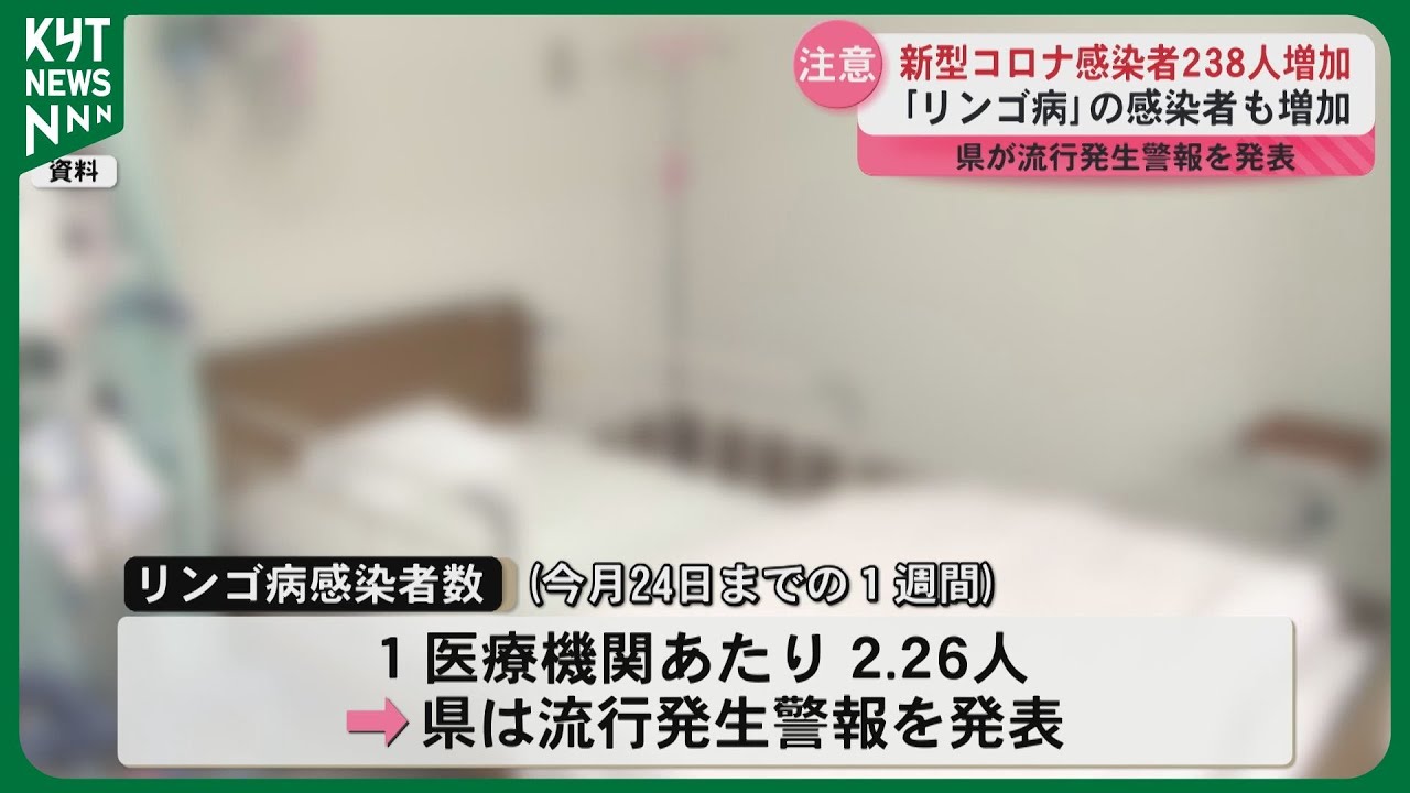 新型コロナウイルスの感染者が増加 リンゴ病の感染者も増加し、流行発生警報を発表 新型コロナウイルスの感染者が増加 リンゴ病の感染者も増加し、流行発生警報を発表