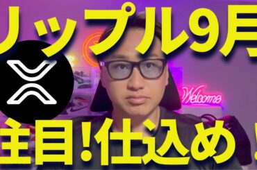 【XRP】リップル仕込め！9月から上昇する理由を話します！
