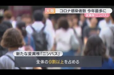 【新変異株「ニンバス」】全体の9割以上　コロナ感染者数が大阪府でことし最多に　8月18日～24日の1週間