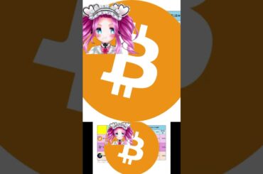 【2025年8月第3週: 暗号資産積立結果】週でもイーサリアム爆上げ！まさかのビットコイン