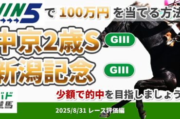 【WIN5で100万円レース評価編】2025年8月31日（日）中京2歳S・新潟記念【競馬】