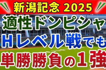 新潟記念2025 競馬YouTuber達が選んだ【確信軸】別定戦でも荒れる！総合力が高い1強！