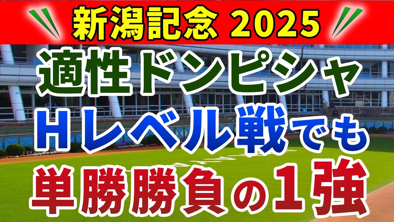 新潟記念2025 競馬YouTuber達が選んだ【確信軸】別定戦でも荒れる!総合力が高い1強! 新潟記念2025 競馬YouTuber達が選んだ【確信軸】別定戦でも荒れる!総合力が高い1強!