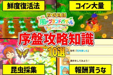 【牧場物語】牧物グラバザ序盤攻略知識10選！鮮度の管理や交流のコツ【 Let’s！風のグランドバザール Nintendo Switch 2】