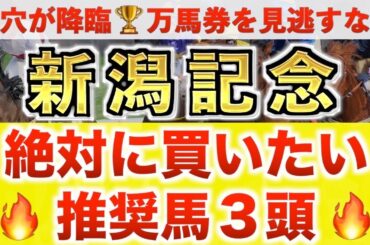 【新潟記念2025 予想】シランケド過去最高のデキ？プロが"全頭診断"から導く絶好の3頭！