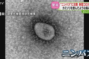 カミソリを飲んだような痛み…新型コロナ「ニンバス」に注意　感染者は10週連続増加　北海道
