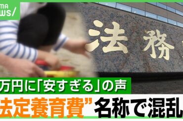 【法定養育費】なぜ月2万円？「安すぎる」ネットで物議に…高額だと何が問題？法務省「名称から誤解も…」｜アベヒル