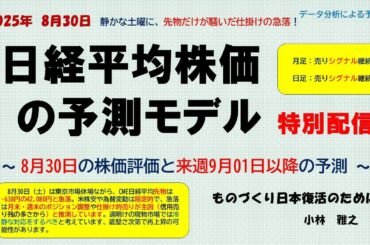 8月30日　静かな土曜に、先物だけが騒いだ仕掛けの急落！　日経平均株価の予測モデル　特別配信　9月1日へ向けて