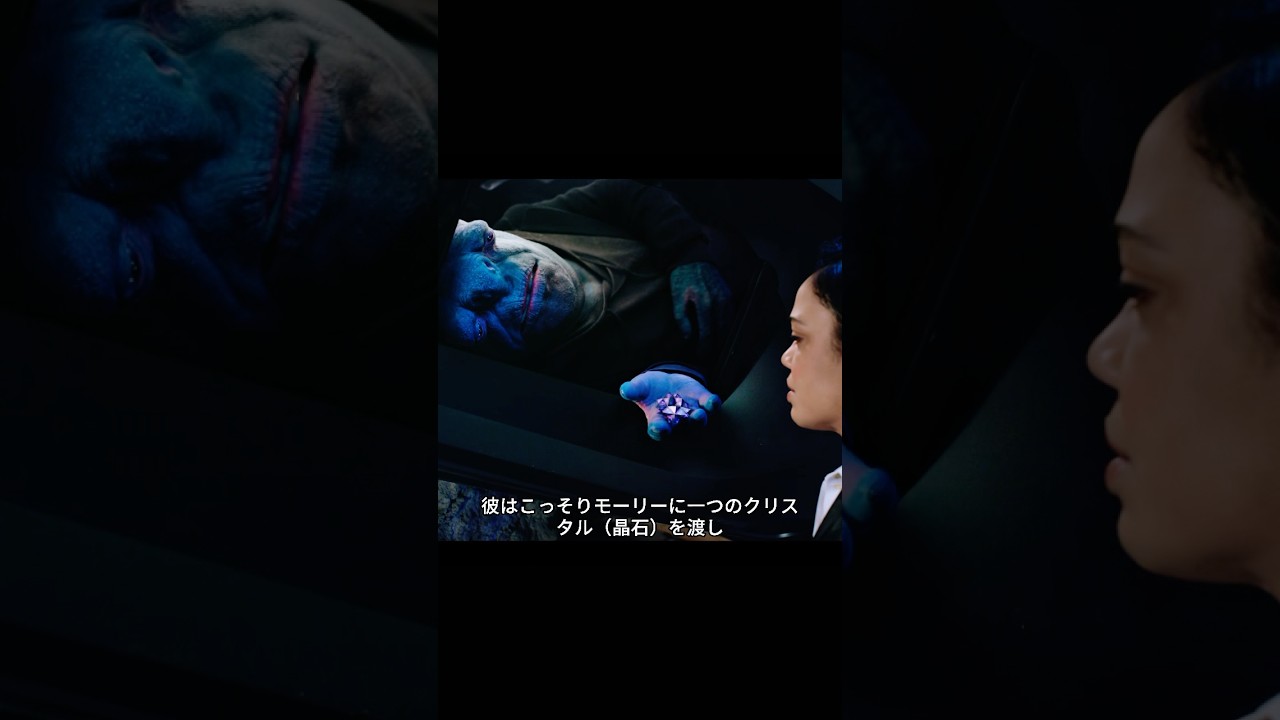 ファントムダブル、地球に侵入する#映画 #ドラマ# 映画解説 #解説