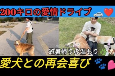石田ゆり子　“避暑帰り”の愛犬と再会「片道200キロの距離をいつもは一人で緊張しながら運転して…」