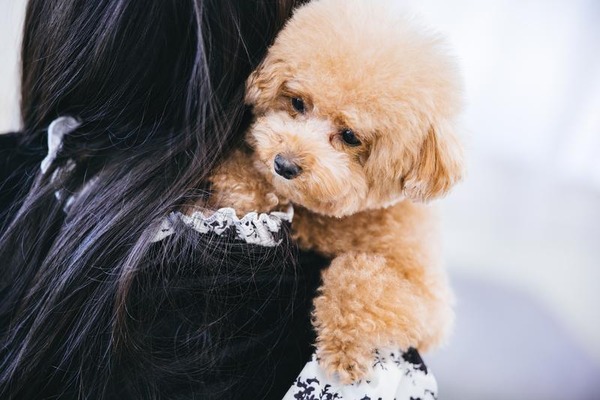 kotetsuPAR510691977_TP_V4