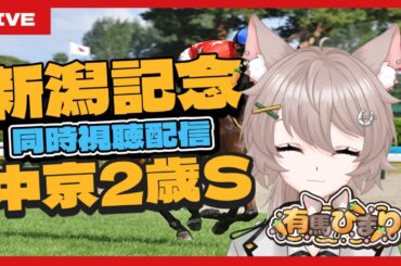 【中央競馬】新潟記念&中京2歳S2025同時視聴配信🏇【ライブ/有馬ひまり/新人Vtuber】