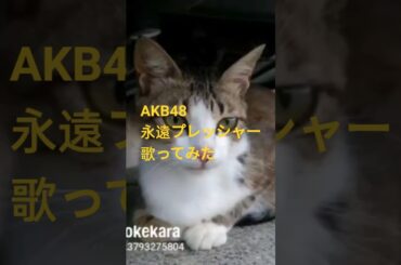 AKB48の“永遠プレッシャー”を歌ってみた。