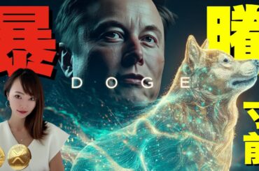 【暴騰寸前】コピトレ解禁！BTC・XRP・DOGEの最新相場分析｜今こそ“億り人のチャンス”