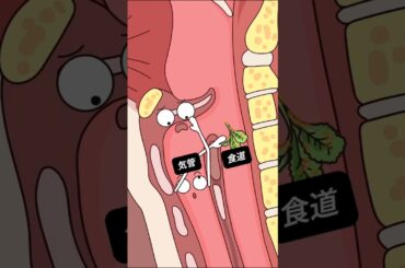 もし食べ物が気管に入ったら？