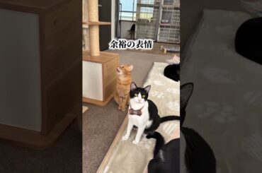 チャイさんの暮らし117。