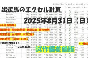 【競馬予想】過去3走分の偏差値をエクセルで計算してみた【2025年8月31日（日）】
