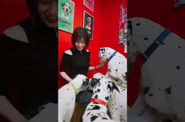 20250831 Yamamoto Sayaka(山本彩) TIK TOK