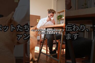 【感動実話】石田ゆり子と愛犬・愛猫たちの“家族の物語”The Heartwarming Story of Yuriko Ishida and Her Beloved Pets