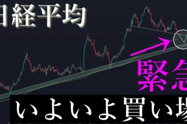 🚨緊急！買い場がきています。日経平均株価/Ni225