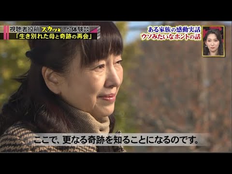 【スカッとジャパン】菅野美穂! 菜々緒!女優大集合カッコいい女性が解決2時間SP VOL6 【スカッとジャパン】菅野美穂! 菜々緒!女優大集合カッコいい女性が解決2時間SP VOL6