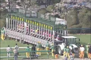 2009年 桜花賞（JpnI） ブエナビスタ