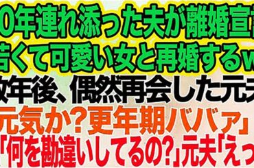 30年連れ添った夫が突然離婚宣言「若くて可愛い女と再婚するｗ」→数年後、婚活ツアーで再会した元夫「元気か？更年期ババァ」私「は？何を勘違いしてるの？」元夫「えっ？」