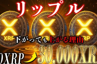 20XRPで億り人、安心して下さい。リップルは下がっても上がります。