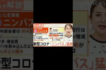 “カミソリ飲み込む痛み”新型コロナ「ニンバス」猛威　今、感染したら?猛暑の感染対策は「湿度」と「換気」【Nスタ解説】 #ニュース #日本ニュース #速報 #japan #japannews