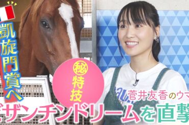 「〇〇〇してくれる馬は初めて…さらにファンになっちゃう！」フォワ賞、そして凱旋門賞で世界の強豪に挑む！ビザンチンドリームのまさかの特技にゆっかーも大興奮！＜菅井友香のウマ友になってくれませんか？＞