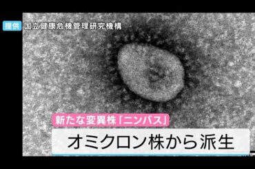 新型コロナウイルスの新たな変異株「ニンバス」　なぜ今感染が拡大？「基本的な感染対策と定期的な換気を」