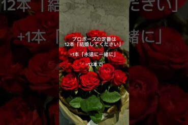 岡山市　プロポーズ　花束　意味　#shorts