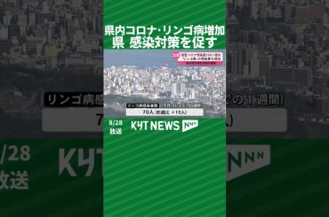 県内でコロナ・リンゴ病増加中　県が感染対策を促す