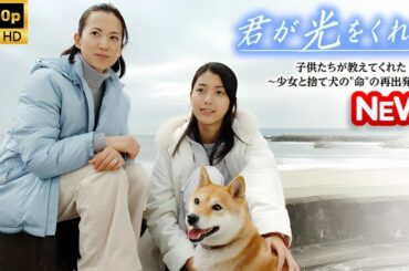 【日本のドラマ】 君が光をくれた 子供たちが教えてくれた～少女と捨て犬の命の再出発物語 【フルムービー】