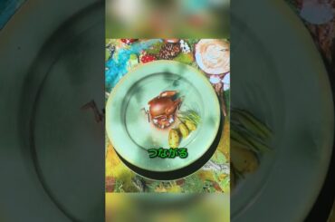 90分があっという間！魔法のレストラン