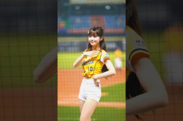 洲際的平日 | #維尼 x 岳政華的應援 浮誇版 #passionsisters