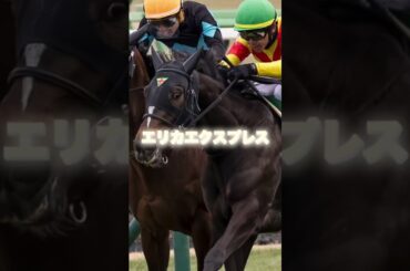 G1桜花賞の注目馬を３頭紹介＃競馬＃競馬予想＃エンブロイダリー＃エリカエクスプレス＃アルマヴェローチェ
