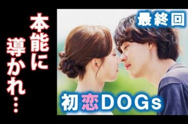 ｢初恋DOGs｣ 最終回 愛子は恋が錯覚ではなく信じていけるように…最終話ドラマ感想 あらすじ