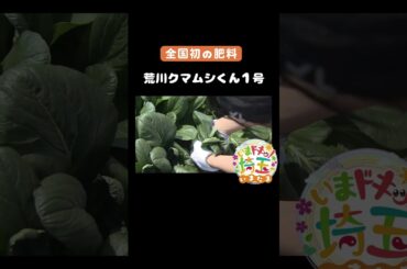 #クマムシくん#ウンコノミクス#荒川クマムシくん１号#マスコット#うんこ#農業#肥料#下水道の日#下水道#全国初#荒川水循環センター#松井咲子#アンゴラ村長#カナイ#いまたま#埼玉県#shorts