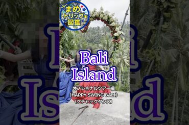バリ旅・オプショナル編｜貸切で満喫！王道ツアーの魅力ぜんぶ見せ #旅Vlog #旅行 #shorts #バリ