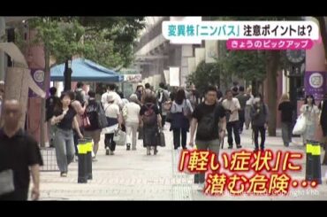 新型コロナの変異株ニンバス　特徴と対策を専門家に聞く