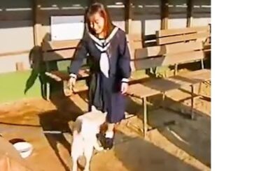 持田真樹17歳　そのままでいいわ　PV撮影裏側　持田真樹のスカートの中を覗こうとする犬！　桜っ子クラブ