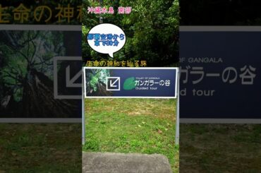 【一人旅】〈生命の神秘を辿る旅〉｢ガンガラーの谷｣　#shorts #沖縄 #観光 #パワースポット