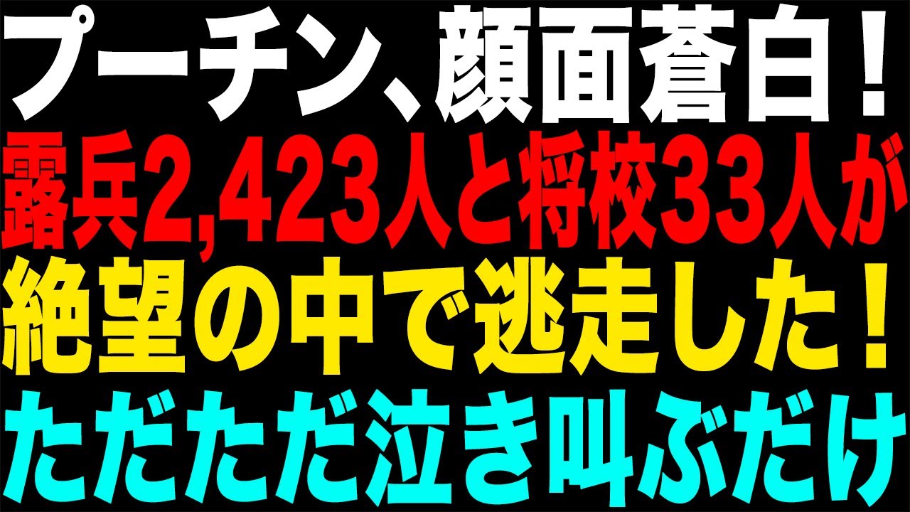 【ゆっくり解説】プーチン、もう号泣するしかない！ウクライナはプーチンの支配の野望を打ち砕いた！【海外の反応】