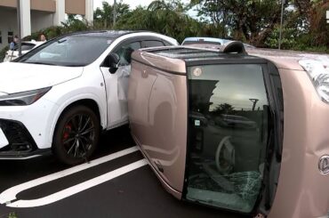 「聞いたことのない音」台風15号で静岡県内に線状降水帯発生 各地で倒木や突風被害、80代男性が行方不明か=静岡